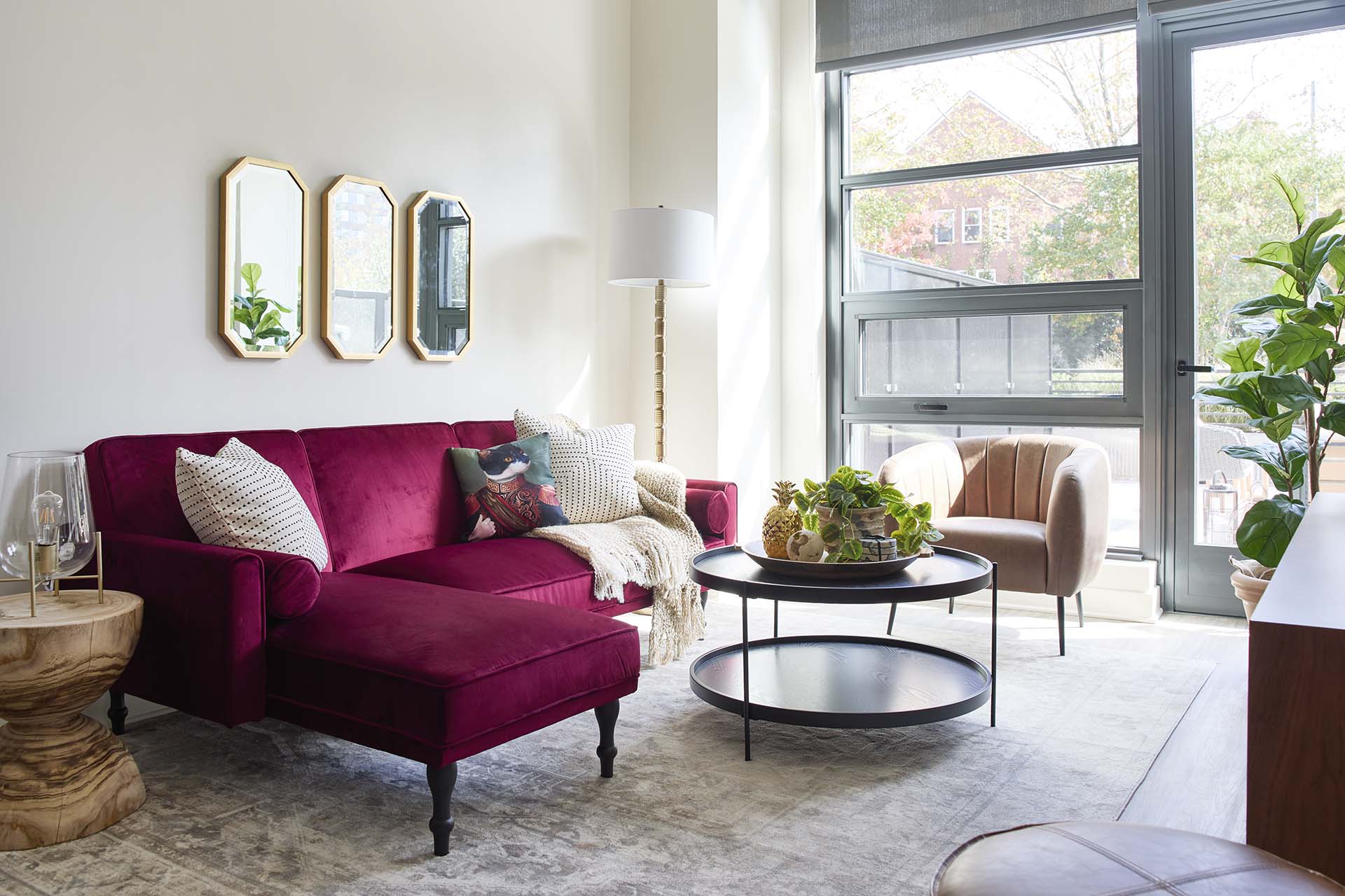 Light-filled apartments with black-framed windows