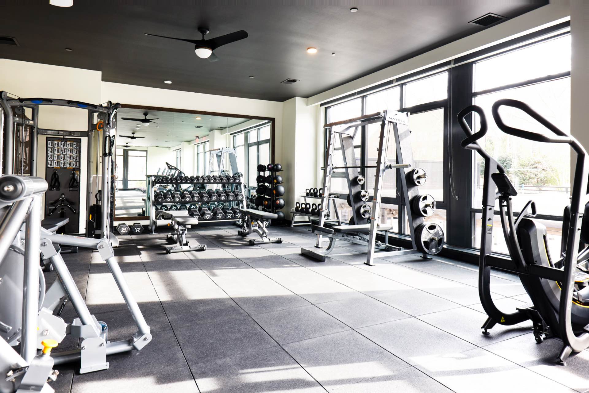 Fitness, cardio and strength training studio with flex and stretching zones
